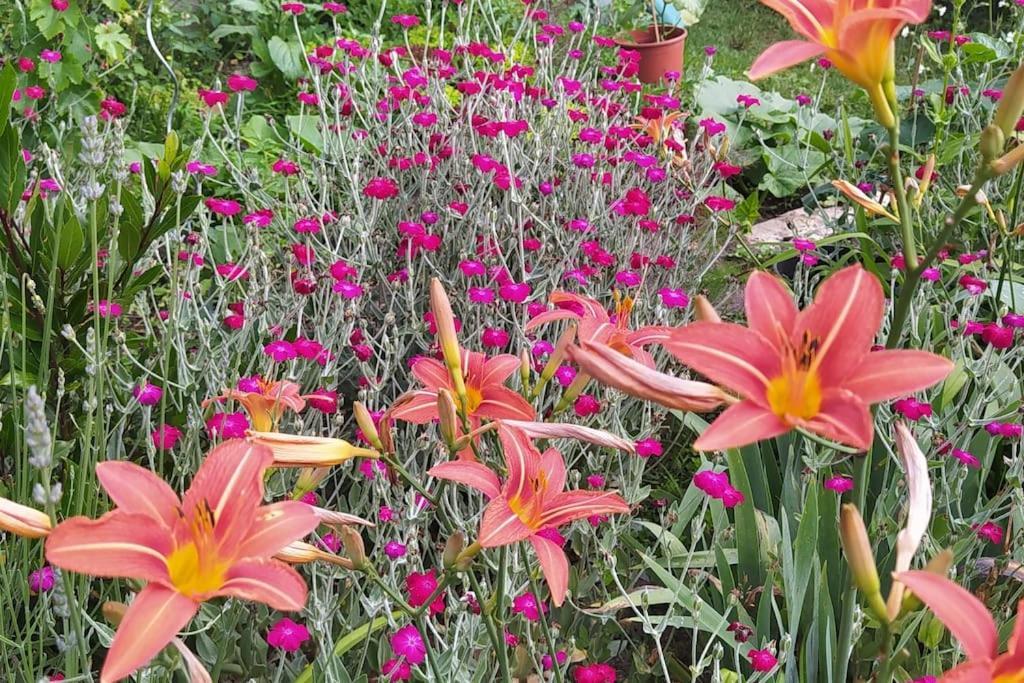 Gite Les Lilas La Genevraye Eksteriør bilde